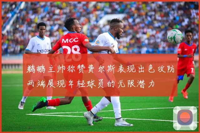 鹈鹕主帅称赞费尔斯表现出色攻防两端展现年轻球员的无限潜力